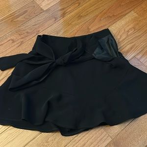 Zara Skater Skirt